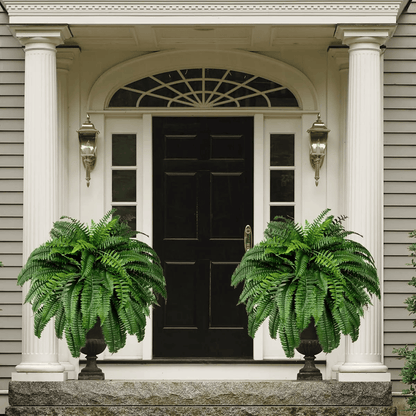🔥Last Day 75% OFF🔥--UV Resistant Lifelike Artificial Boston Fern