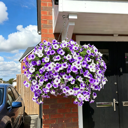💥Last Day 50% OFF💥UV Resistant Artificial Petunias Flowers