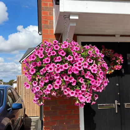 💥Last Day 50% OFF💥UV Resistant Artificial Petunias Flowers