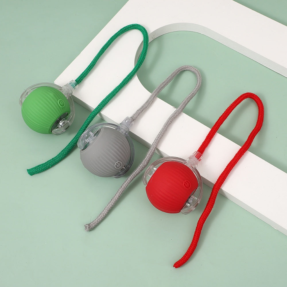 3 Colours-Free Shipping