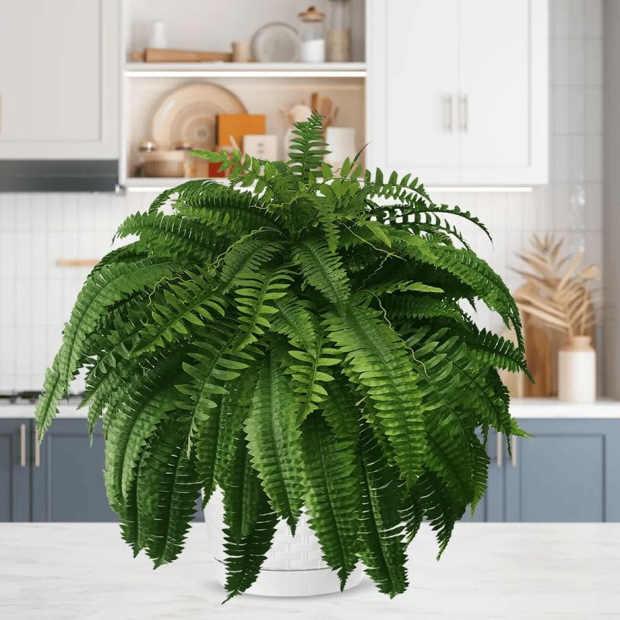 🔥Last Day 75% OFF🔥--UV Resistant Lifelike Artificial Boston Fern