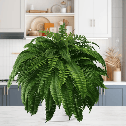 🔥Last Day 75% OFF🔥--UV Resistant Lifelike Artificial Boston Fern