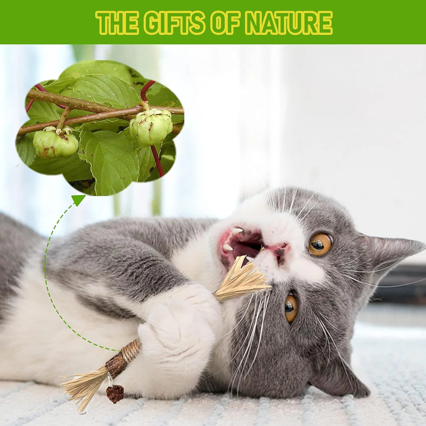 🔥😻Natural Silvervine Chew Sticks – Organic Dental Treats for Cats
