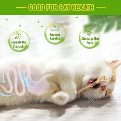 Mresio®🔥😻 Cat Toys Chew Rope & Silvervine Sticks for Bored Indoor Adult Cats