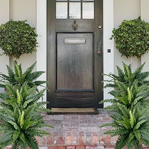 🔥Last Day 75% OFF🔥--UV Resistant Lifelike Artificial Boston Fern