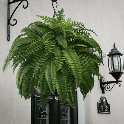 🔥Last Day 75% OFF🔥--UV Resistant Lifelike Artificial Boston Fern