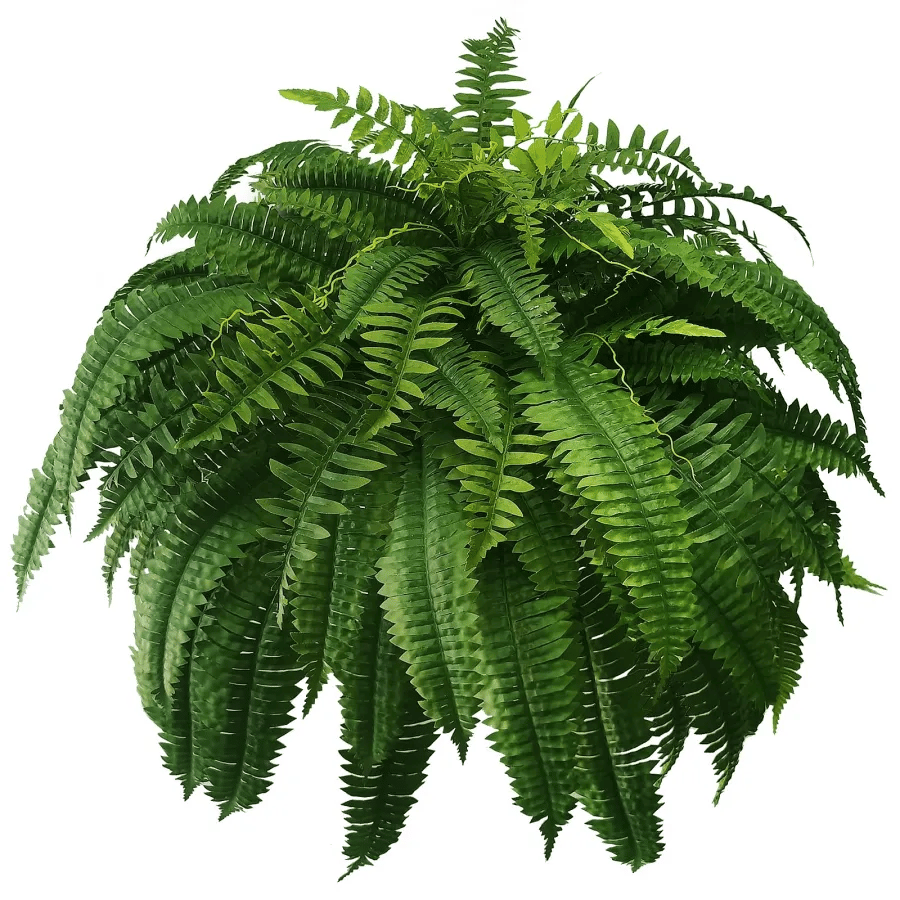 🔥Last Day 75% OFF🔥--UV Resistant Lifelike Artificial Boston Fern