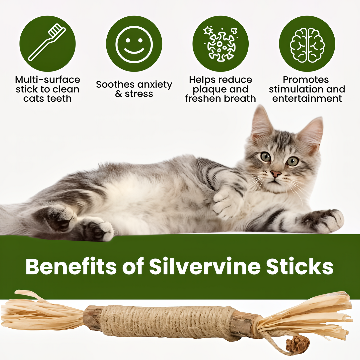 Natural Silvervine Dental Sticks
