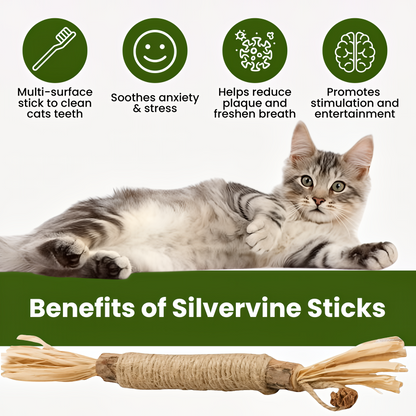 Natural Silvervine Dental Sticks