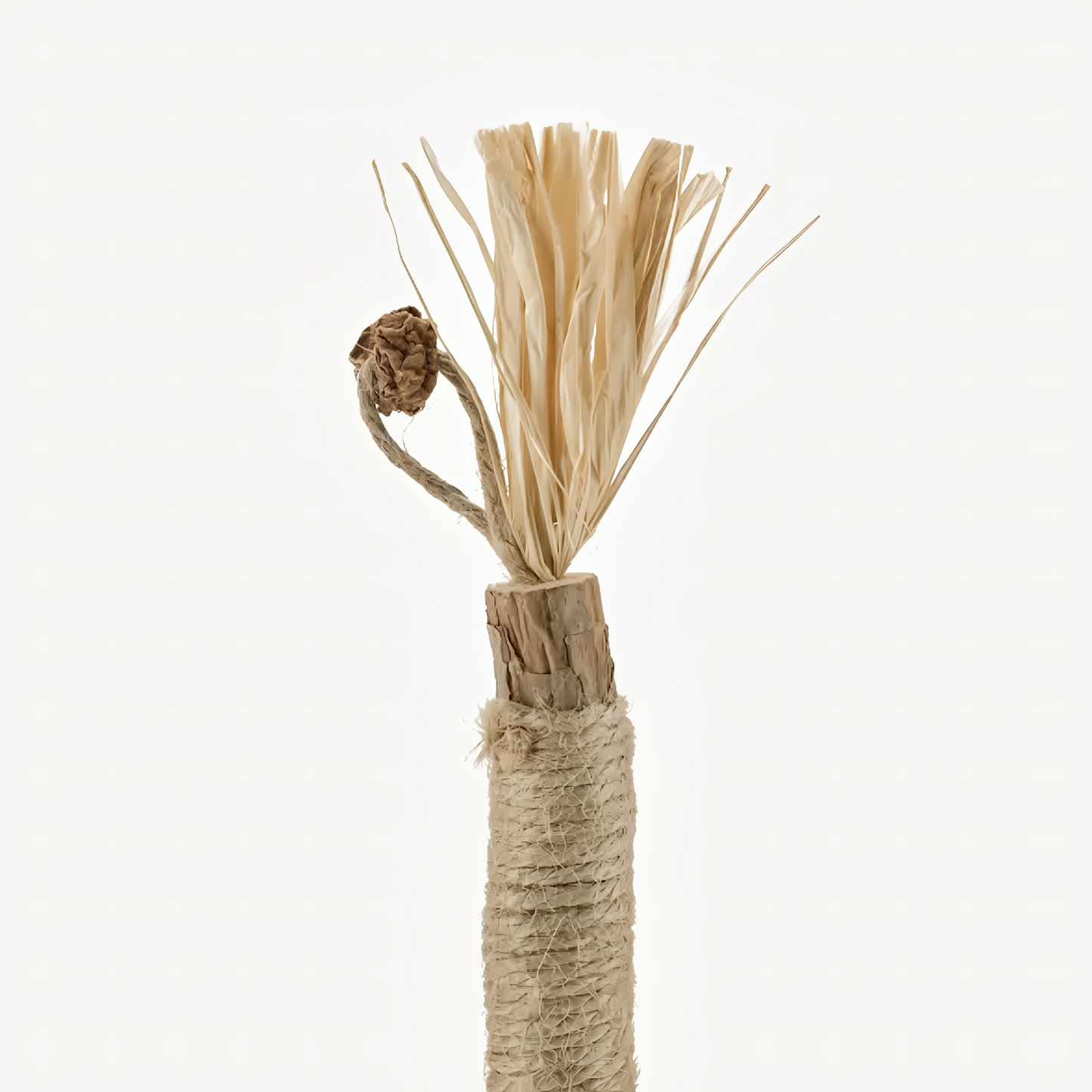 Natural Silvervine Dental Sticks