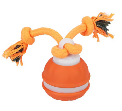 S -Orange - V2 - For Dogs