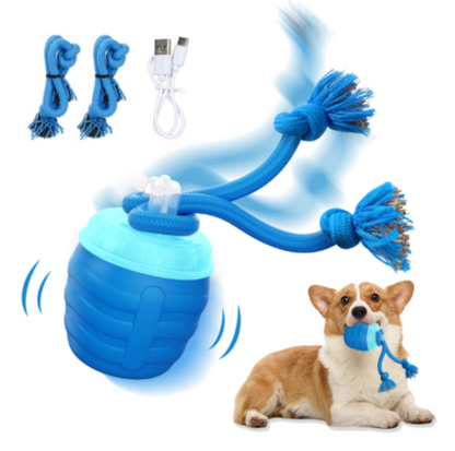 Smart Motion Pet Ball