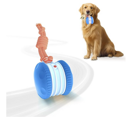 Smart Motion Pet Ball