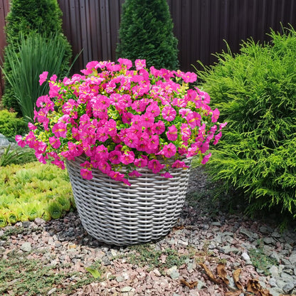 💥Last Day 50% OFF💥UV Resistant Artificial Petunias Flowers