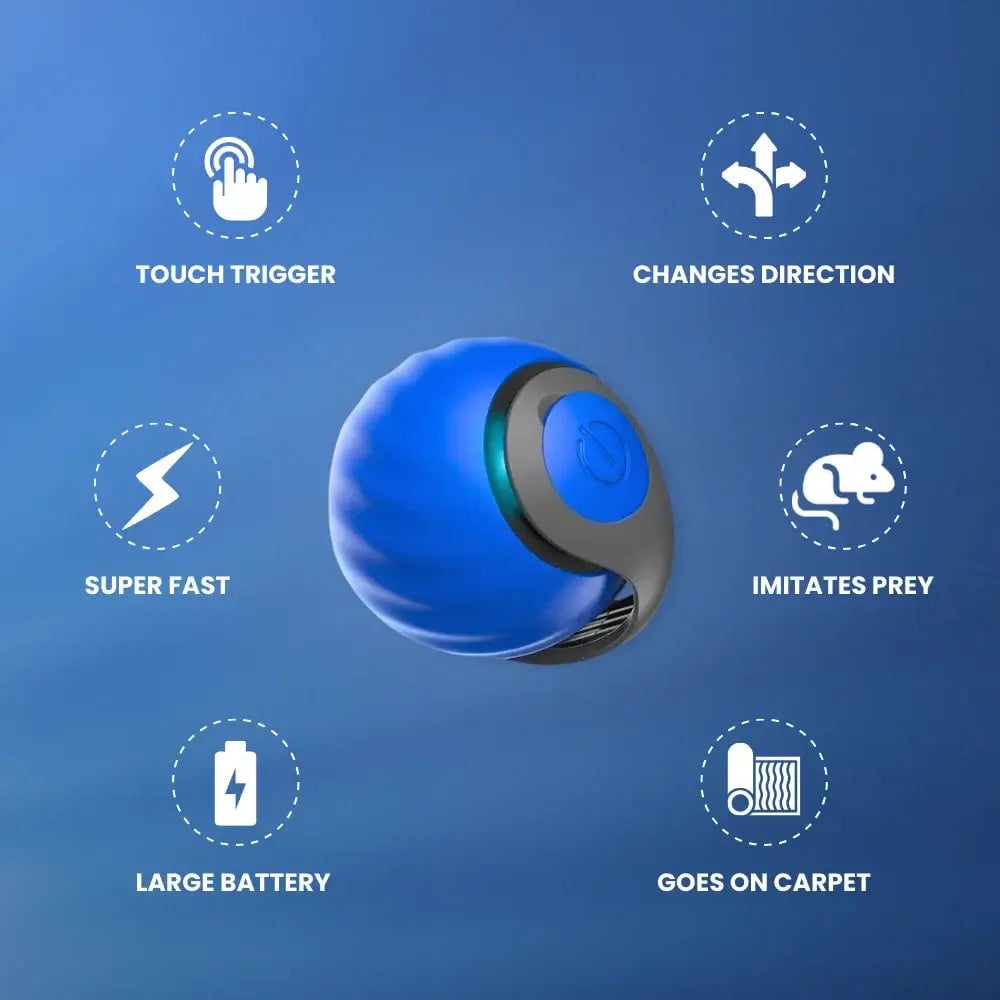 🔥Interactive Electric Rolling Ball with Teasing Tail
