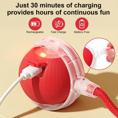 🐾Interactive Smart Chase Ball for Cats & Dogs – USB Rechargeable Automatic Rolling Teaser Toy with Speedy Tail