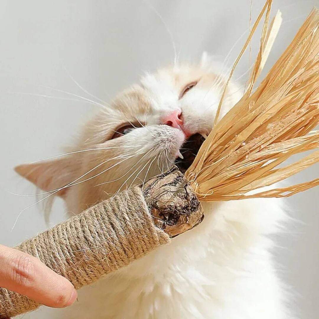🔥😻Natural Silvervine Chew Sticks – Organic Dental Treats for Cats